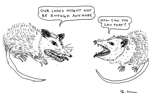"Our looks might not be enough anymore.", "How can you say that?"
