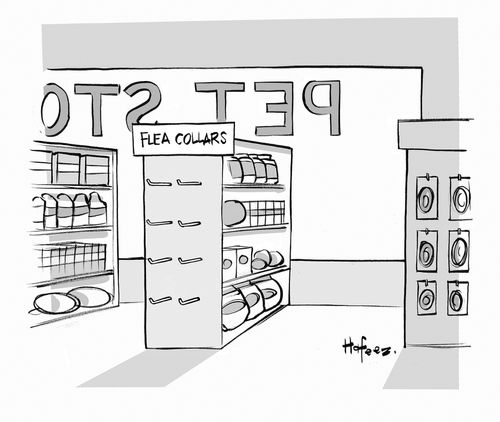 Flea Collars
