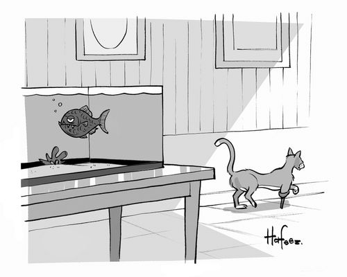 Cat with a pegleg