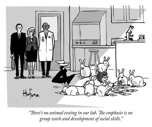 "There's no animal testing in our lab. The emphasis is on group work and development of social skills."