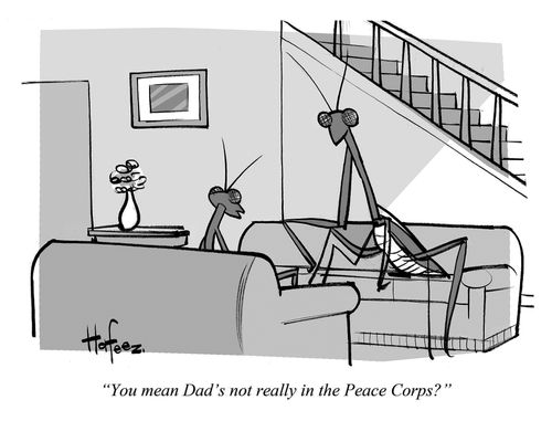 "You mean Dad's not really in the Peace Corps?"