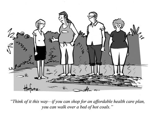 "Think of it this way - if you can shop for an affordable health care plan, you can walk over a bed of hot coals."