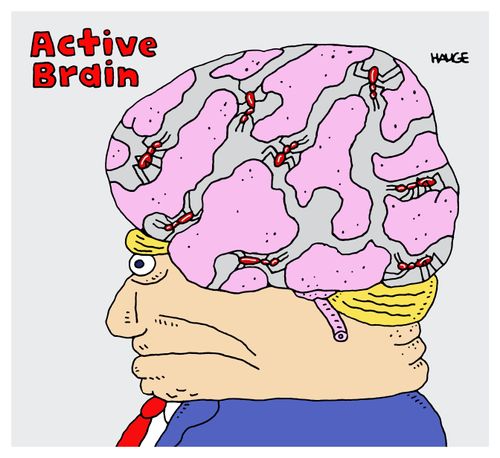 Trump's Active Brain