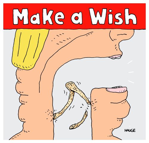 Make a Wish