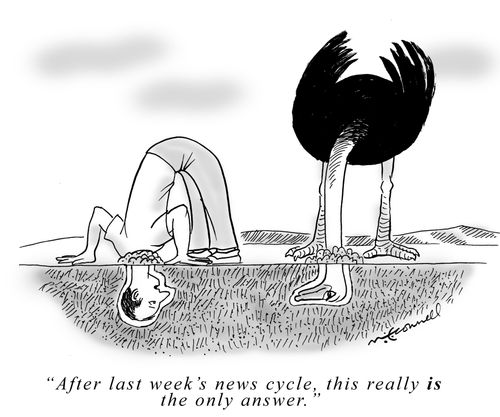 "After last week's news cycle, this really IS the only answer."