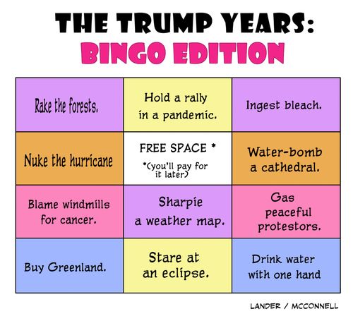 The Trump Years: Bingo Edition