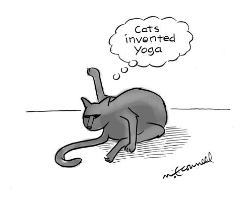 Cats invented yoga