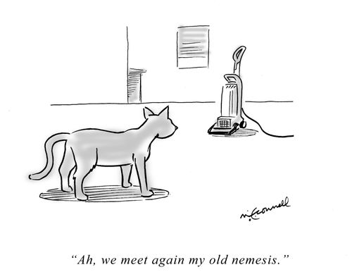 "Ah, we meet again, my old nemesis."