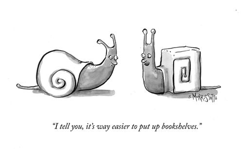 "I tell you, it's way easier to put up bookshelves."