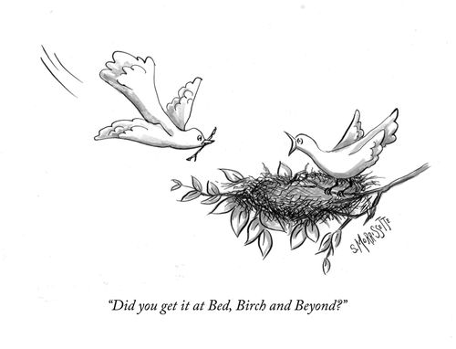 "Did you get it at Bed, Birch and Beyond?"