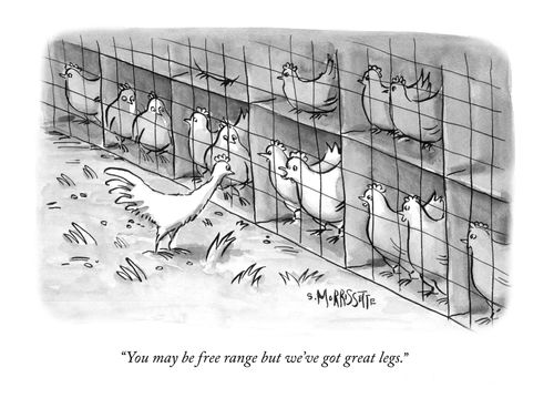  "You may be free range but we've got great legs."