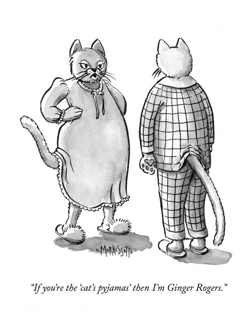 "If you're the 'cat's pyjamas' then I'm Ginger Rogers." 