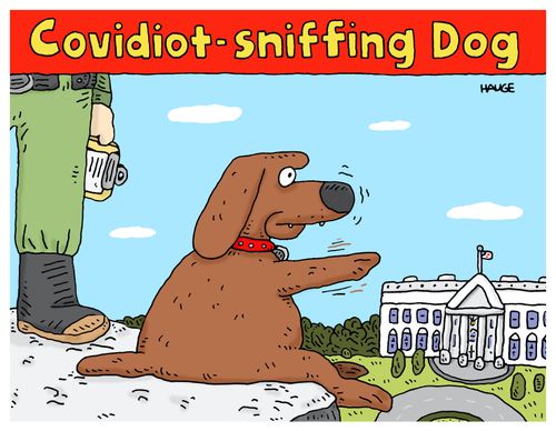 Covidiot-sniffing Dog.