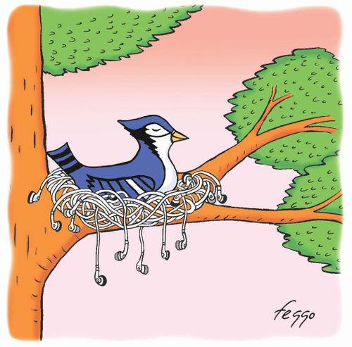 Blue Jay sits in a nest made of earphone