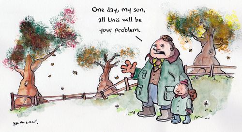 "One day, my son, all this will be your problem."