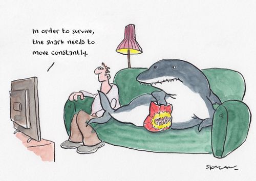 "In order to survive the shark needs to move constantly."