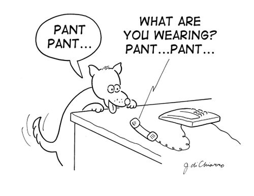 "What are you wearing? Pant... pant...!