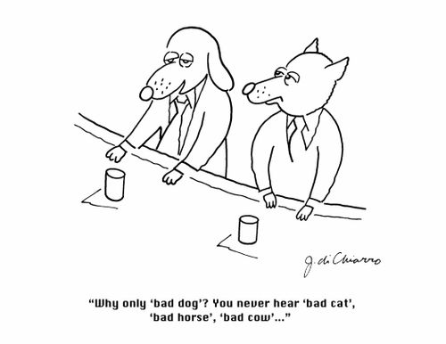 "Why only 'bag dog'? You never hear 'bad cat', 'bad horse', 'bad cow'..."