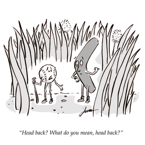"Head back? What do you mean, head back?"