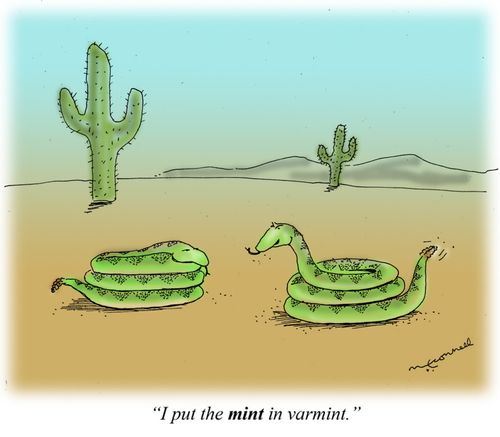"I put the MINT in varmint."