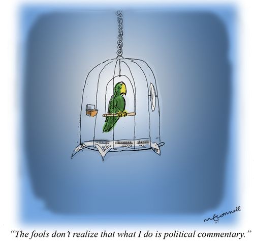 "The fools don't realize that what I do is political commentary."