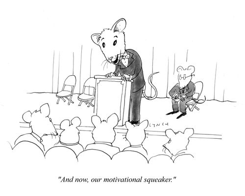 "And now, our motivational squeaker."