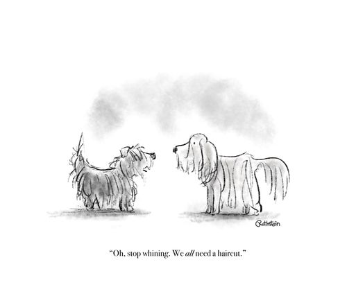 "Oh, stop whining. We ALL need a haircut."