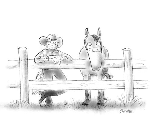 Masked horse & cowboy