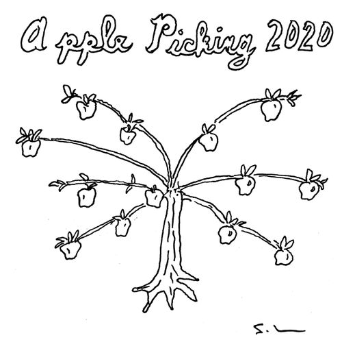 Apple Picking 2020