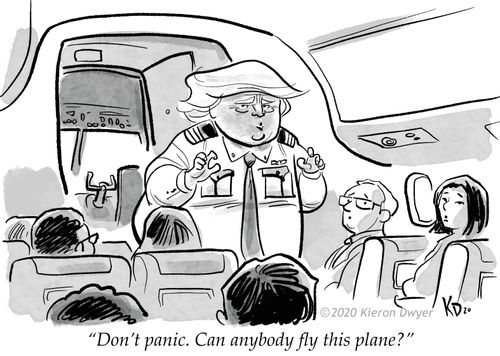 "Don't panic. Can anybody fly this plane?"