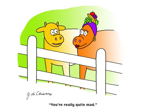 "You're really quite mad."