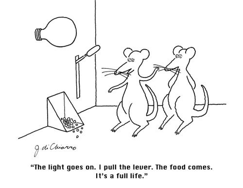 "The light goes on. I pull the lever. The food comes. It's a full life."