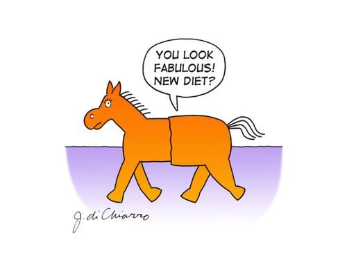 "You look fabulous! New diet?"