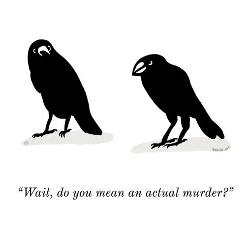 "Wait, do you mean an actual murder?"