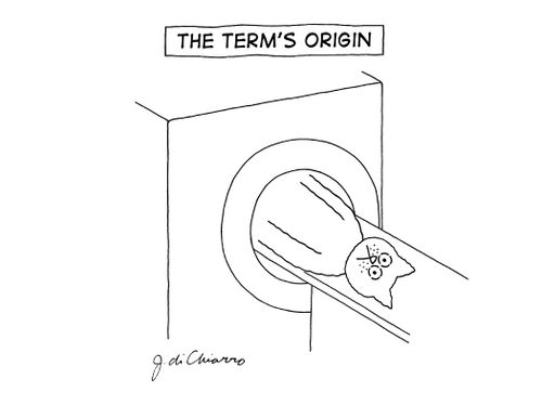The term's origin