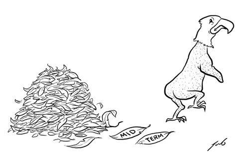 Midterm elections