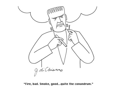 "Fire, bad. Smoke, good... quite the conundrum."
