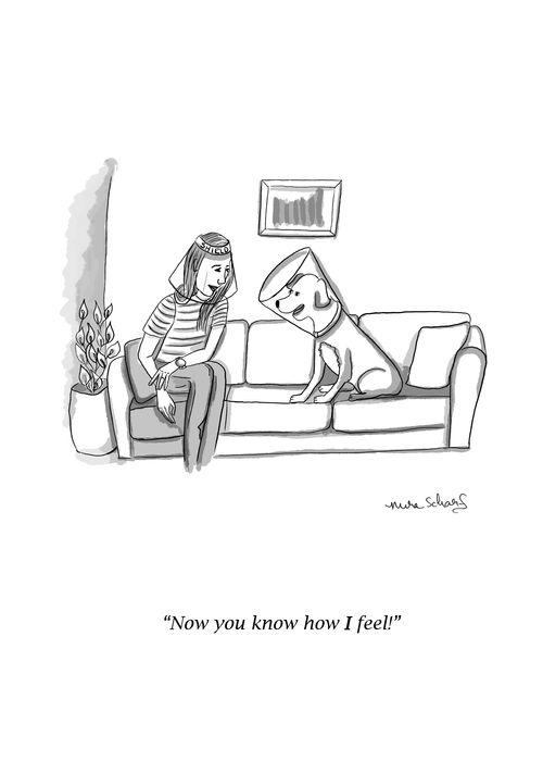 "Now you know how I feel!"