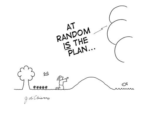 "At random IS the plan..."