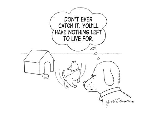"Don't ever catch it. You'll have nothing left to live for."