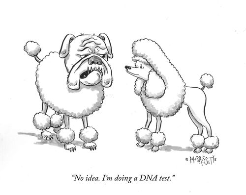 "No idea. I'm doing a DNA test."