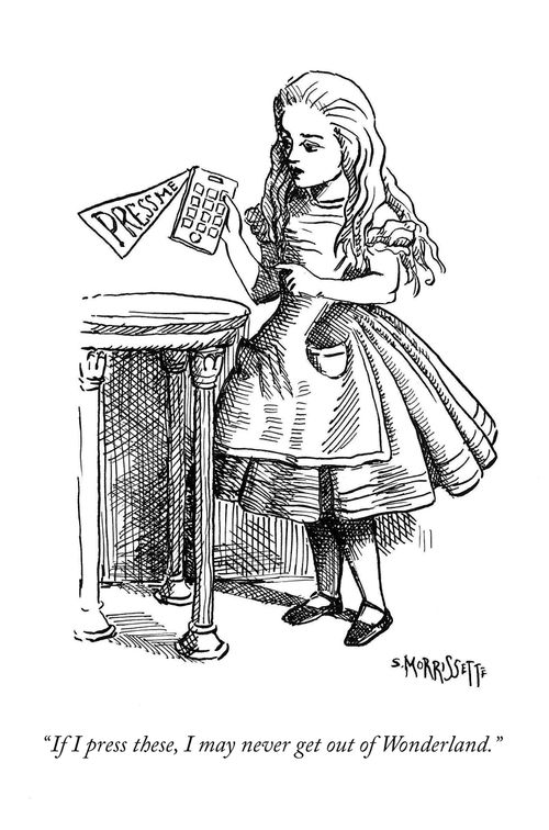 "If I press these, I may never get out of Wonderland."