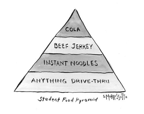 Student Food Pyramid
