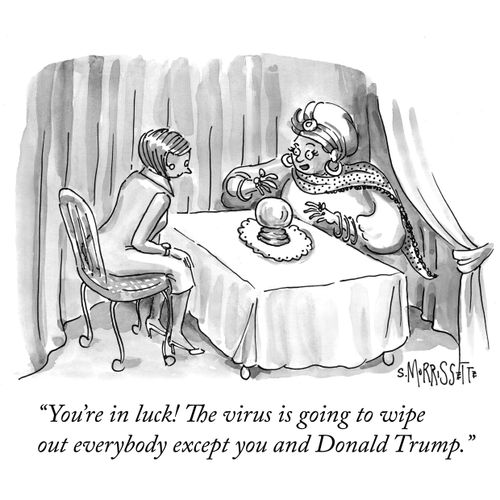 "You're in luck! The virus is going to wipe out everybody except you and Donald Trump."