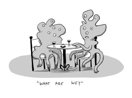 "What are we?"