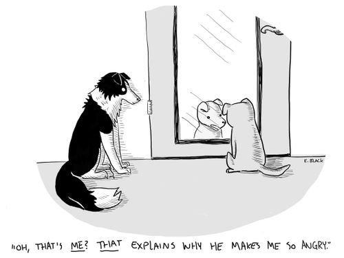 "Oh, that's ME? THAT explains why he makes me so angry."