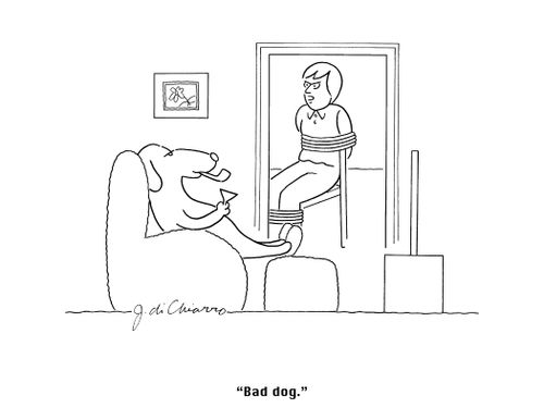 "Bad dog."