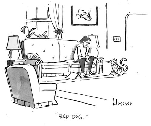 "Bad dog."