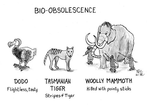 Bio-obsolescence