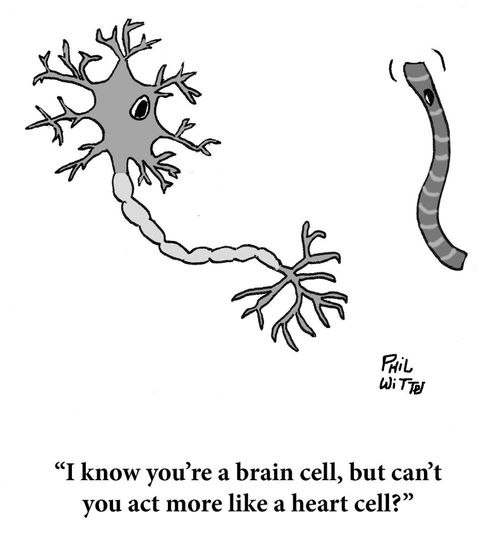 "I know you're a brain cell, but can't you act more like a heart cell?"